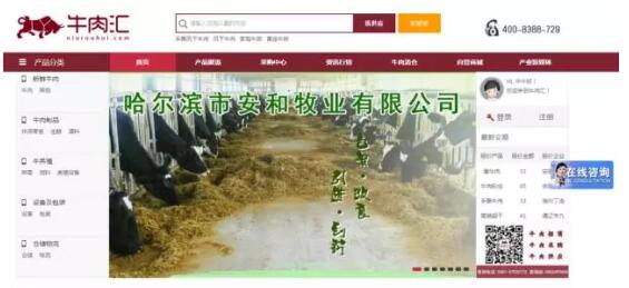 【网库集团产业巡礼 01】精耕细作 打造每一块有温度的精品牛肉