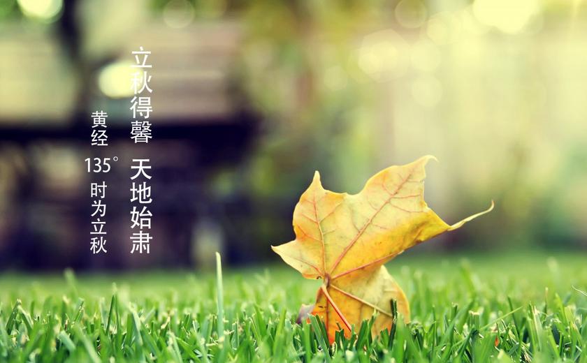 立秋已到暑气难消 随便果让你秋季饮食没烦恼