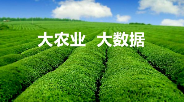 信和大金融：农为国之本，农业金融的现状趋势和他山之玉