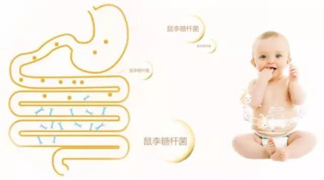 幼儿夏季肠道易不适，补充益生菌提高免疫力是关键