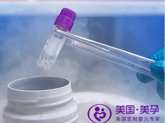 美国试管婴儿丨胚胎实验室有时候比医生还重要