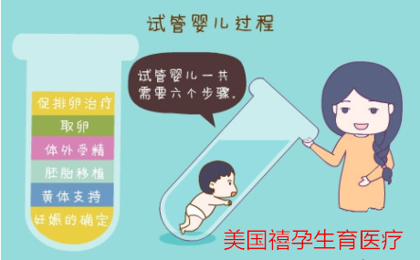 禧孕HRC提升美国试管婴儿成功率5步走，其实很轻松！