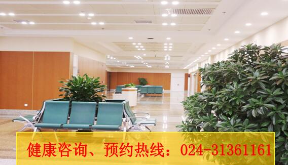 东北国际医院体检费用？全身检查多少钱？