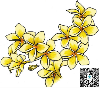 知名研究白癜风专家李卓胥表示患者养花要谨慎