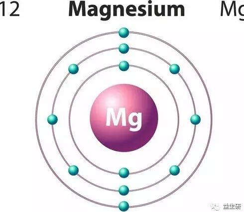 镁钙复合新技术：稳定、易吸收的镁对人体健康的意义