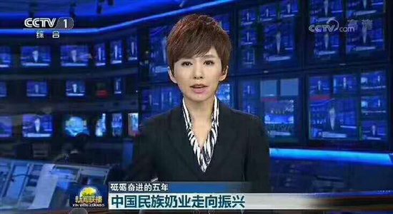 新闻联播聚焦民族奶业 君智咨询助力飞鹤振翅高飞