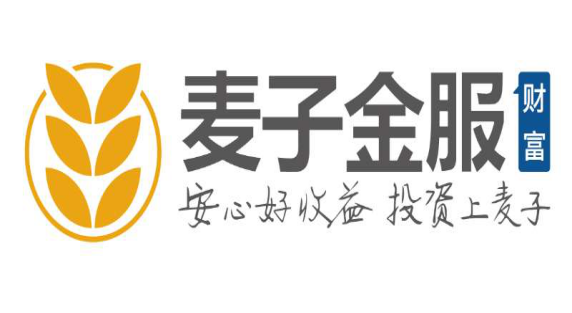 麦子金服：“暂停校园贷”的转型范本