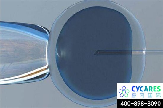 春雨国际：泰国试管婴儿从提升卵子质量开始