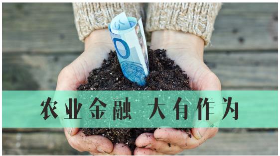 信和大金融：我国农村金融还有很大发展空间