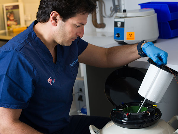 美国试管婴儿将有助于受孕 美国美孕专家:同房或提升移植率