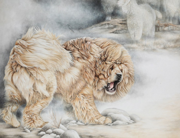 瑞威资本产业观察：藏獒产业的土崩瓦解