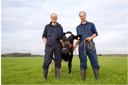 美赞臣奶粉坚持品质先行,口碑与销量双丰收