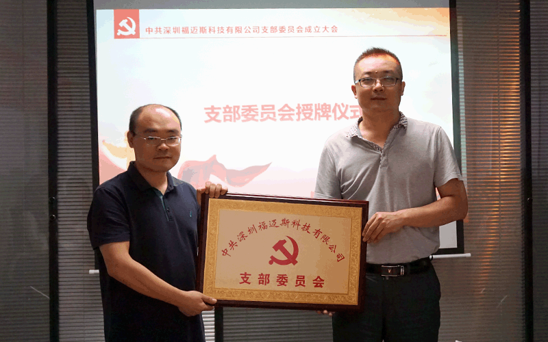 为金融秩序稳定助力 福迈斯党支部成立