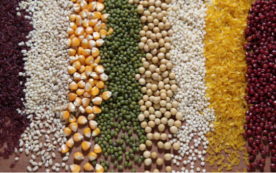 【加盟唐三镜酒坊】私人订制的酿酒作坊