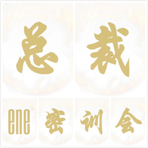 加油“掘金路”——ene海藻洗护（艳阳国际）总裁密训会圆满召开