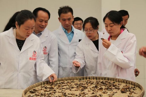 道地药材获青睐 好医生附子享誉中医药界