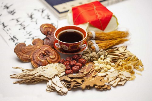 振东制药：中医将毁于中药吗？ 