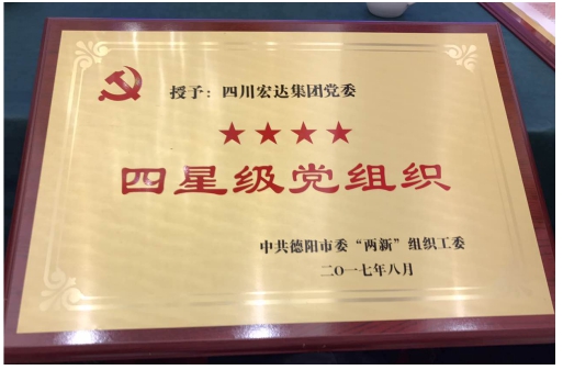 四川宏达集团党委被评为四星级党组织