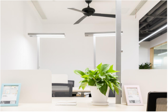 小狗钱钱：当爱折腾的我们都消停了，你还担心什么？