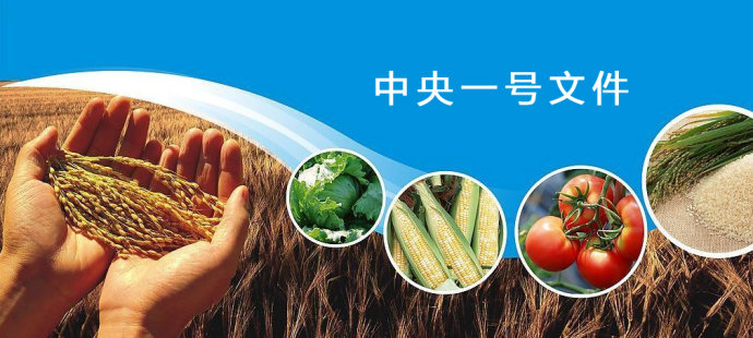 好车贷：国家大力鼓励互联网金融转战农村市场