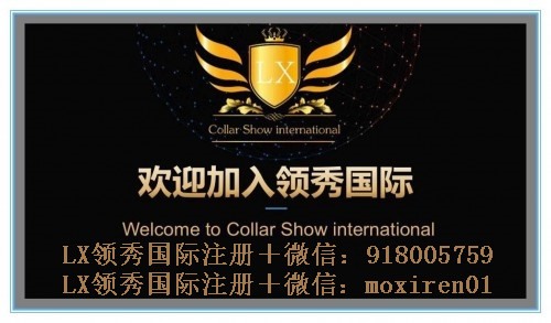 LX领秀国际大盘内排强势来袭,欢迎各地领导人了解对接?