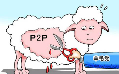 撸羊毛观念不可取 人人贷、宜人贷、极光金融专业理财更稳健