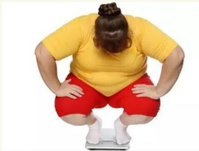 什么?——减肥总是反弹?脂导家表示明显不服!