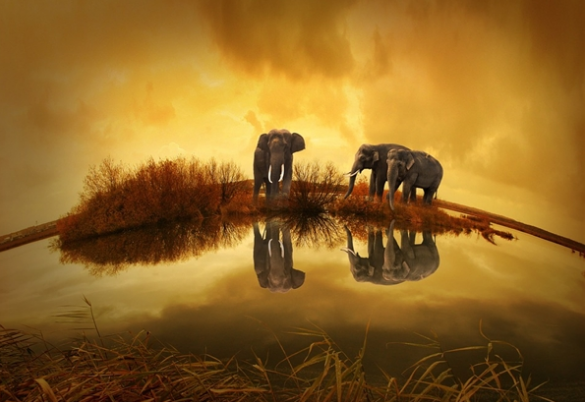 翼龙贷、爱钱进、福猫财经、悟空理财更适合投资