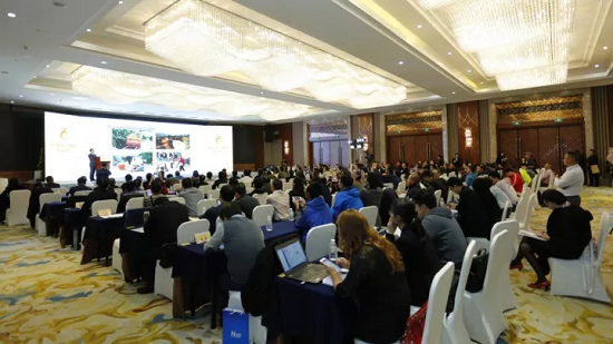 “中国橘城 • 三峡橘乡 • 网联天下”柑橘网产品震撼发布