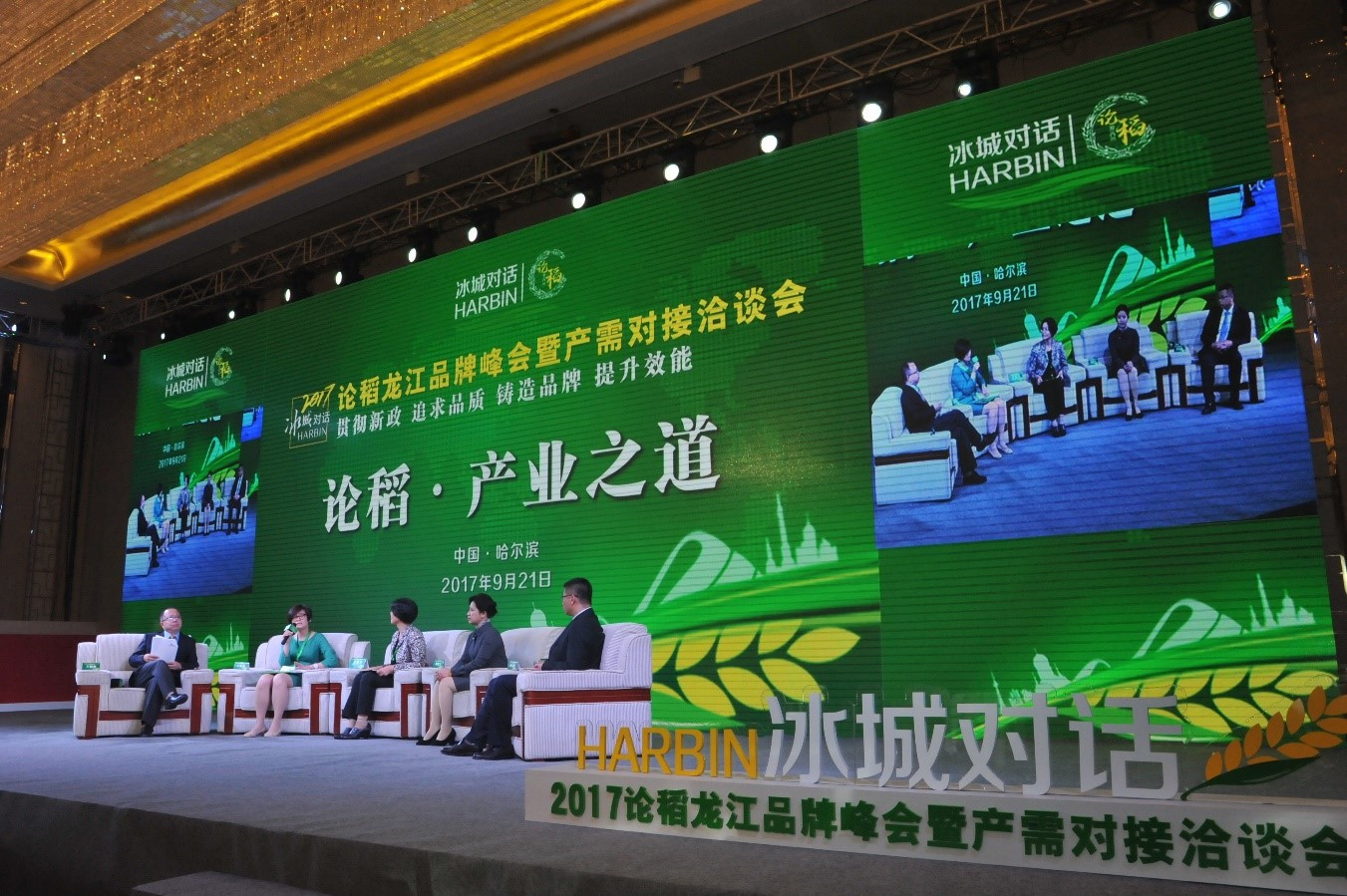 冰城论“稻”：金龙鱼大米助力“黑龙江好粮油”品牌发展