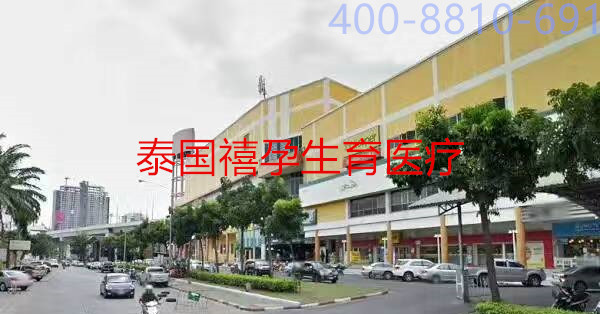 禧孕泰国试管婴儿Jetanin：你了解你的排卵期吗？