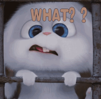 星杰装饰：维多利亚港边，和大咖聊设计丨星杰设计群侠争霸(三)