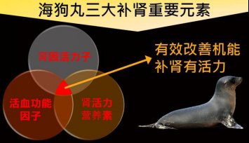 能让肾会变得更好的双龙三鞭海狗丸是什么？