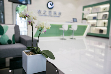 投资衣之恋干洗店加盟连锁好吗？