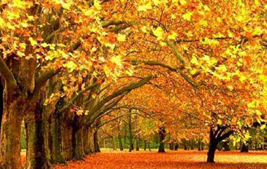 重阳登高 网贷平台乐金所、人人贷金秋送礼