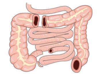 优乐多帮你轻松”吸“营养 