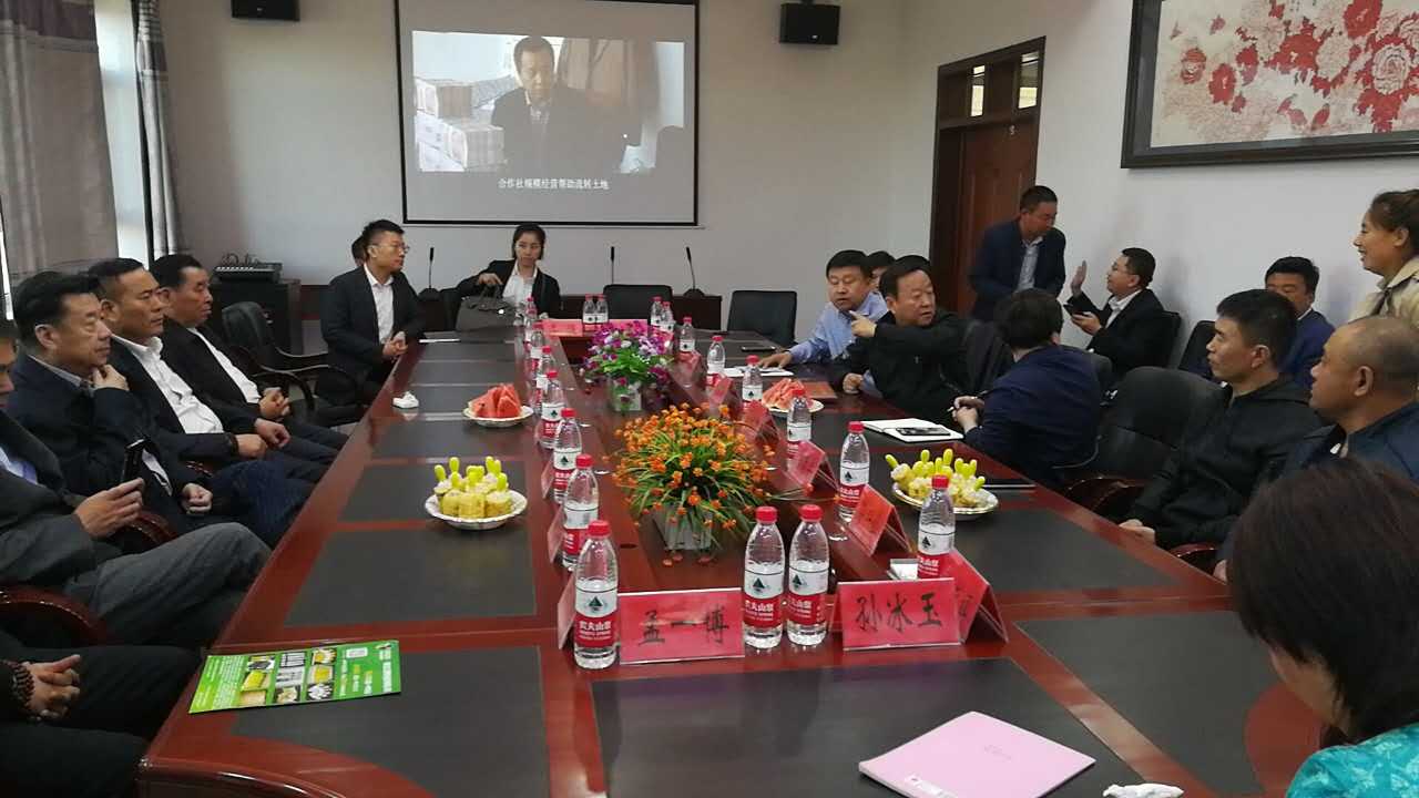 微商资本助力绥化市蔬菜产业发展