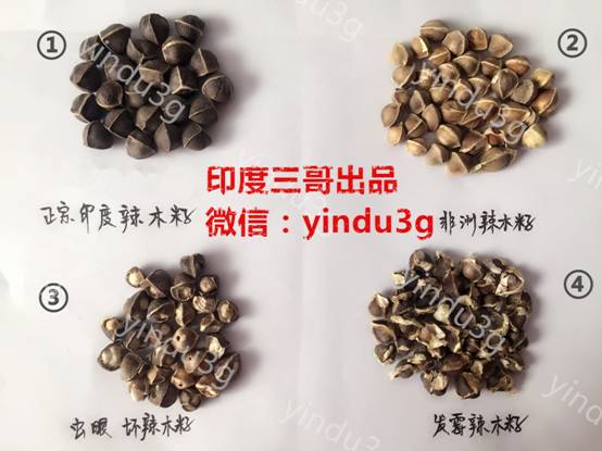 印度辣木籽多少钱一斤？国内辣木籽价格多少？【专家骗局揭秘】