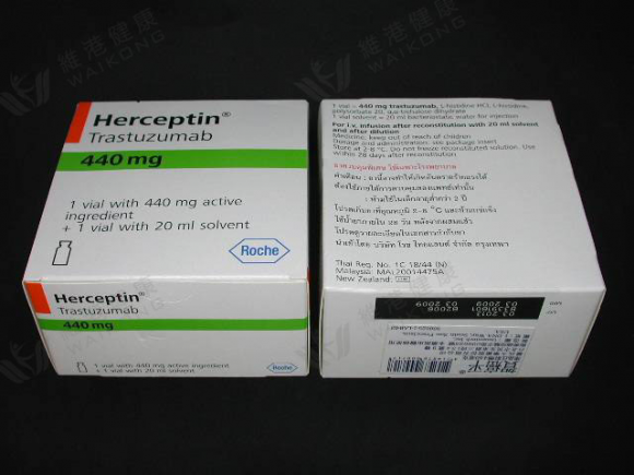 赫赛汀耐药后用什么药物