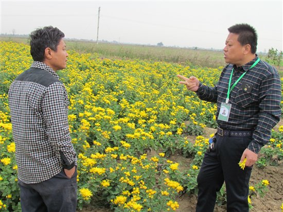 希望金融：互联网金融浇灌实体经济，助力农民种出致富花