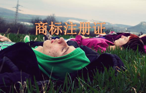 商标究竟有多重要？入驻天猫双十一时你就会知道……