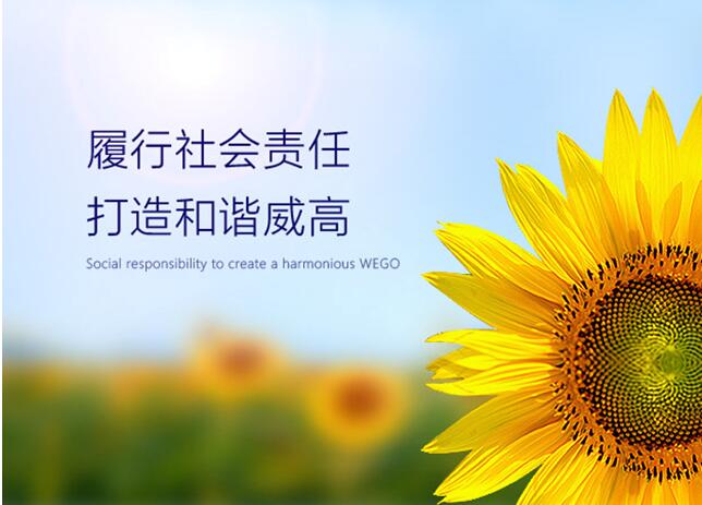 威高集团：喜迎十九大 共筑中国梦