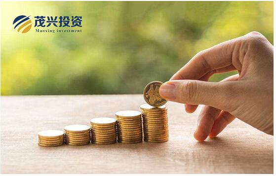 茂兴投资走红，或引发新一轮投资热潮