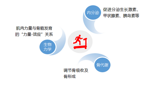 怎样让孩子长高，花样跳绳助力孩子健康长高