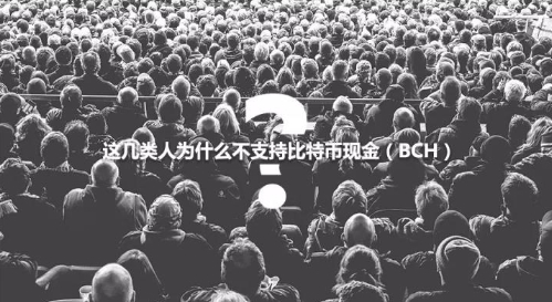 这几类人为什么不支持比特币现金（BCH）