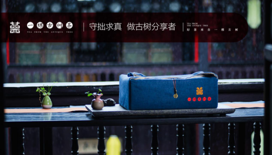 一颗古树茶：以茶文化为核心 满足都市人的生活体验需求
