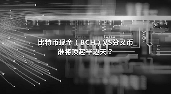 比特币现金（BCH）VS分叉币，谁将顶起半边天？
