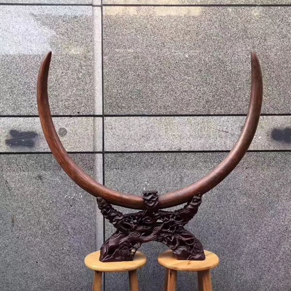 中国第一猛犸牙雕品牌-臻藏猛犸之牙雕收藏与保养措施