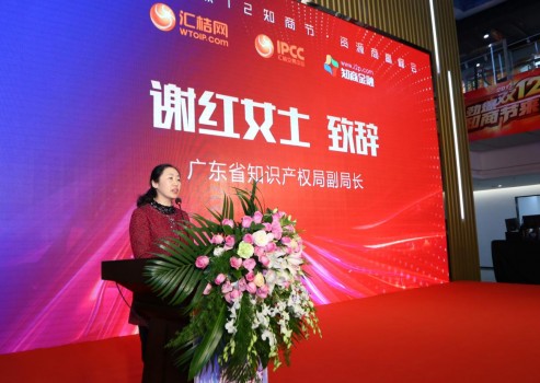 广东省知识产权局副局长谢红出席2017双12知商节