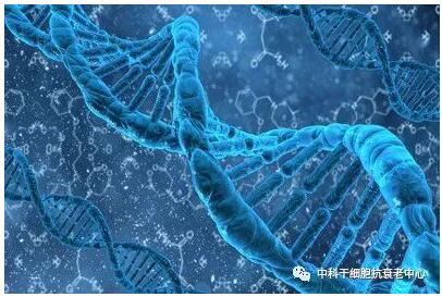 具研究表明：干细胞的作用远远不止美容抗衰老这么简单！